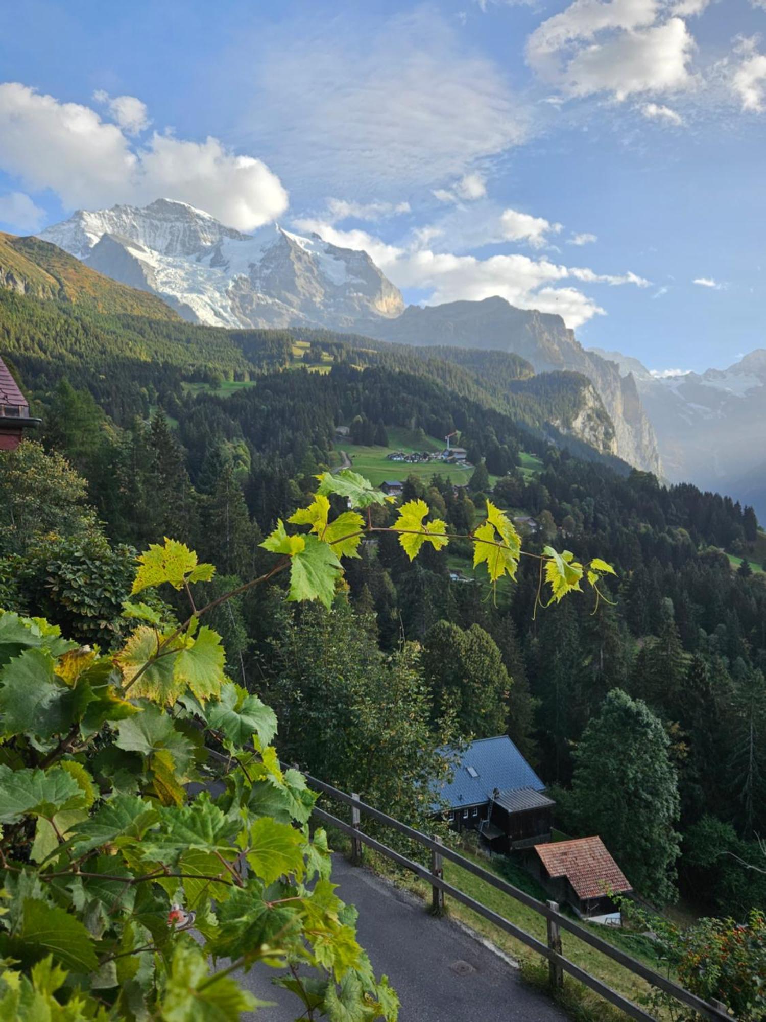 Chalet Aargovia South Венген Екстериор снимка